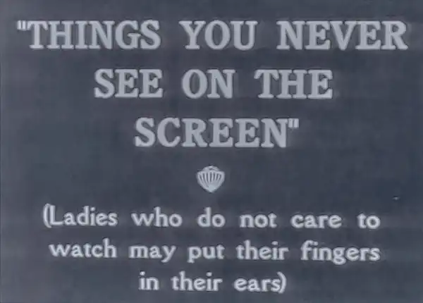 Things You Never See on the Screen