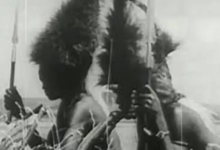 Jungle Drums