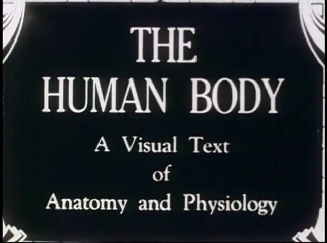 The Human Body