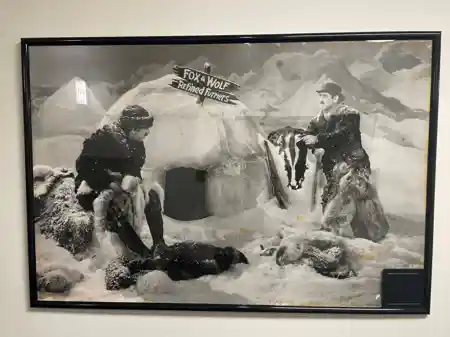Fur, Fur Away