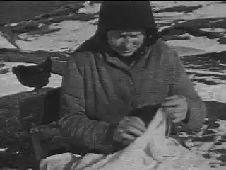 A Crofter's Life in Shetland