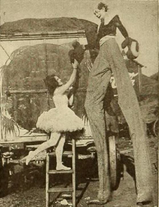 Ora Carew