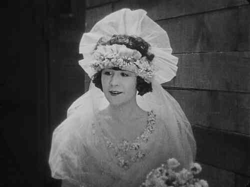 Virginia Fox