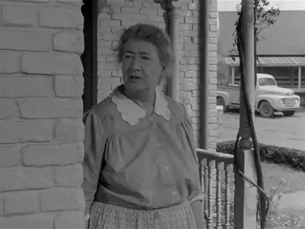 Kay Lavelle