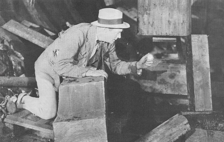 Walter Miller