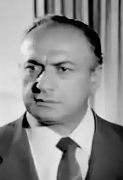 Hadi Hün
