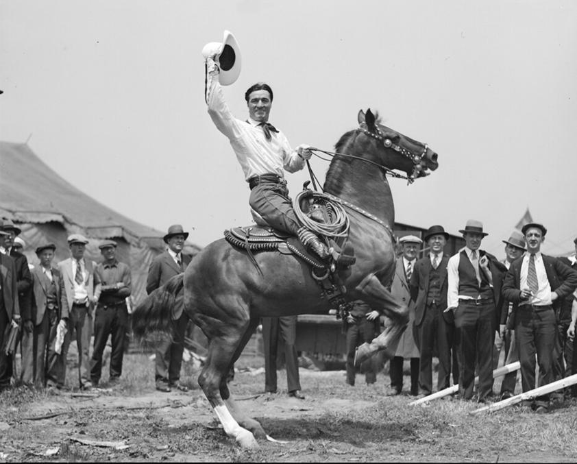 Tony the Horse