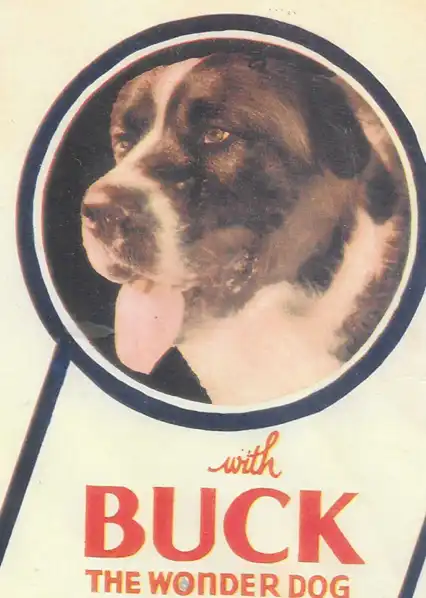 Buck